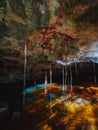 Semiclouse Cenote in the beautiful Mexico