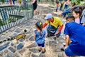 Seminario Park playing iguanas Guayaquil Ecuador landmark Royalty Free Stock Photo