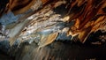 Semitransparent stalactite formations in Buchan Caves