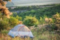 Semitransparent travel tent stands on green glade