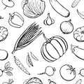 Semles pattern hand drawn vegetables collection, isolated elements. Vector illustration Royalty Free Stock Photo