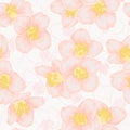 Semless pattern branch pink chamomile graphic watercolour style retro background. Hand-draw branch camomile flowers. design