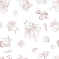 Semless pattern with cute contour bee, flowers and hunny isolate on a white background