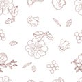 Semless pattern with cute contour flowers and hunny isolate on a white background