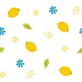 Semless pattern of cute lemon with flower and leaf on white background.Fruit