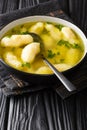 Semolina Dumpling Soup Griessnockerlsuppe very delicious are these dumplings in clear vegetable soup close-up in a plate. Vertical