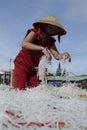 Photo of traditional trade village: making flour for sale Vietnam Royalty Free Stock Photo