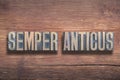 Semper anticus wood