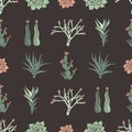 Sempervivum Haworthia Opuntia Hatiora. Seamless pattern with cacti, succulents. Royalty Free Stock Photo