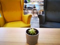 Sempervivum tectorum flower on the table Royalty Free Stock Photo