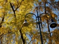 Sempione park in Milan, Italy, at fall