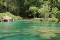 Semuc Champey natural swimming pools, Guatemala Royalty Free Stock Photo