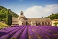 Senanque Abbey Royalty Free Stock Photo