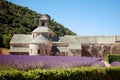 Senanque, Abbey in Provence with blooming rows lavender flowers. Royalty Free Stock Photo