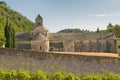 Senanque abbey, provence, france Royalty Free Stock Photo
