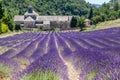 Senanque Abbey Provence France Royalty Free Stock Photo