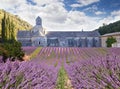 Senanque Abbey in Vaucluse, France Royalty Free Stock Photo