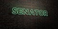 SENATOR -Realistic Neon Sign on Brick Wall background - 3D rendered royalty free stock image