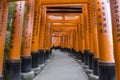 Senbon Torii, the famous thousands of vermilion Torii Gates in Fushimi Inari Taisha Shrine, Kyoto, Japan Royalty Free Stock Photo