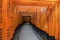 Senbon Torii, the famous thousands of vermilion Torii Gates in Fushimi Inari Taisha Shrine, Kyoto, Japan Royalty Free Stock Photo