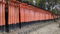 Senbon Torii at Fushimi Inari Shrine