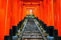 Senbon Torii at Fushimi Inari Shrine.