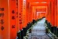 Senbon Torii at Fushimi Inari ShrineFushimi Inari Taisha.