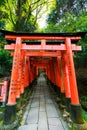 Senbon Torii at Fushimi Inari ShrineFushimi Inari Taisha.