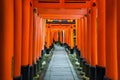 Senbon Torii at Fushimi Inari ShrineFushimi Inari Taisha.