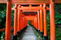 Senbon Torii at Fushimi Inari ShrineFushimi Inari Taisha.