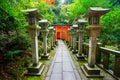 Senbon Torii at Fushimi Inari ShrineFushimi Inari Taisha. Royalty Free Stock Photo