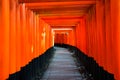 Senbon Torii at Fushimi Inari ShrineFushimi Inari Taisha,Kyoto,Japan Royalty Free Stock Photo