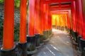 Senbon Torii gates at Fushimi Inari-taisha shrine in Kyoto, Japan, the icon of a path lined with thousands of torii gate Royalty Free Stock Photo