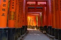 Senbon torii gates at Fushimi Inari-taisha shrine in Kyoto, Japan Royalty Free Stock Photo