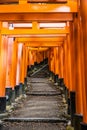 The Senbon Torii, Thousands Torii Gate, at Fushimi Inari Taisha Shinto shrine