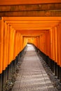 The Senbon Torii, Thousands Torii Gate, at Fushimi Inari Taisha Shinto shrine