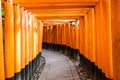 The Senbon Torii, Thousands Torii Gate, at Fushimi Inari Taisha Shinto shrine