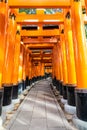 The Senbon Torii, Thousands Torii Gate, at Fushimi Inari Taisha Shinto shrine