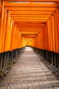 The Senbon Torii, Thousands Torii Gate, at Fushimi Inari Taisha Shinto shrine