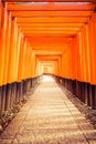 The Senbon Torii, Thousands Torii Gate, at Fushimi Inari Taisha Shinto shrine