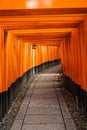 The Senbon Torii, Thousands Torii Gate, at Fushimi Inari Taisha Shinto shrine