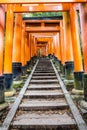 The Senbon Torii, Thousands Torii Gate, at Fushimi Inari Taisha Shinto shrine