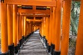 The Senbon Torii, Thousands Torii Gate, at Fushimi Inari Taisha Shinto shrine