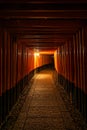 The Senbon Torii, Thousands Torii Gate, at Fushimi Inari Taisha Shinto shrine