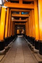 The Senbon Torii, Thousands Torii Gate, at Fushimi Inari Taisha Shinto shrine