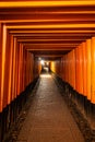 The Senbon Torii, Thousands Torii Gate, at Fushimi Inari Taisha Shinto shrine