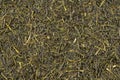 Sencha. Dried green tea leaves background