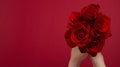 Send flowers online concept. Flower delivery for valentine, mother day. Bouquet of red roses isolated on red background. Post card