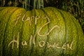 Green Pumpkin Message