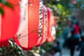 Beautiful Japanese Lanterns light decorated around Osaki Hachimangu Shrine